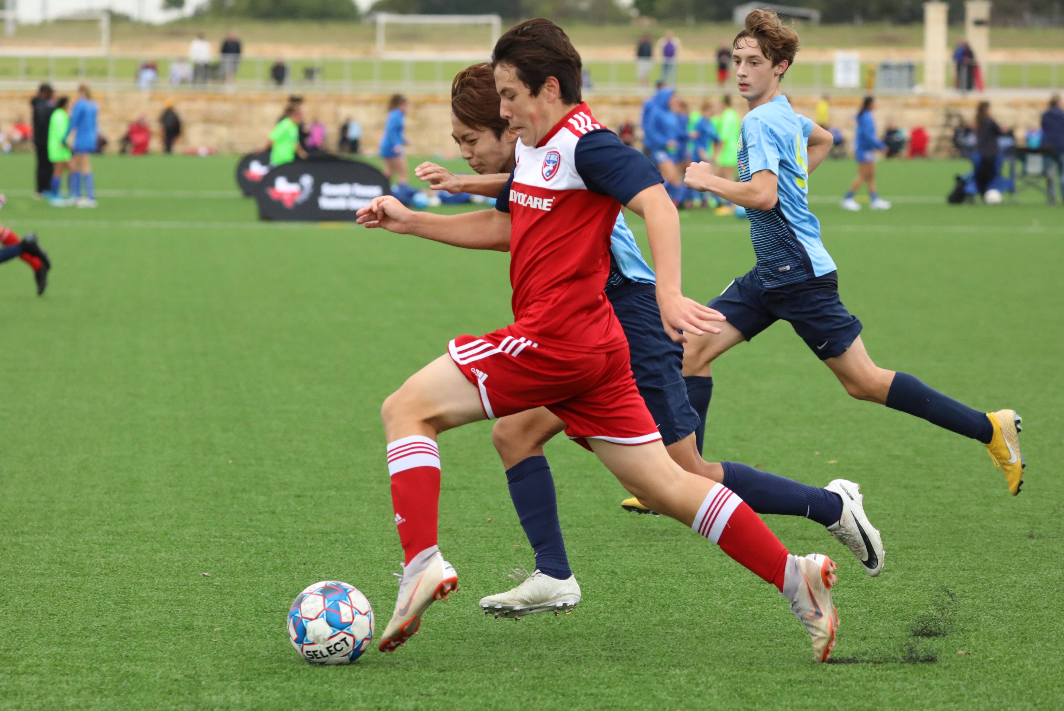 总结来看 总结来看