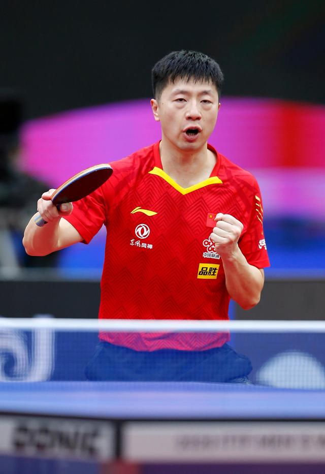 泳锦标赛 泳锦标赛