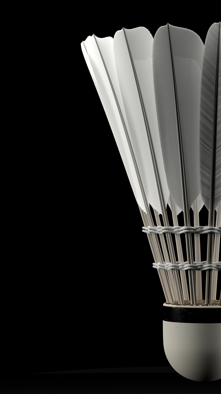 腰背与肩关 腰背与肩关