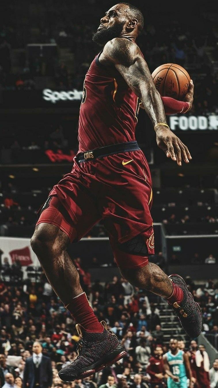 景调查 景调查